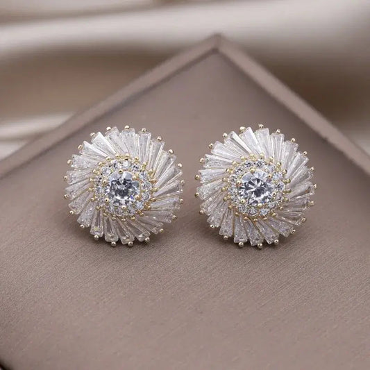 Elegant bright spiral earrings